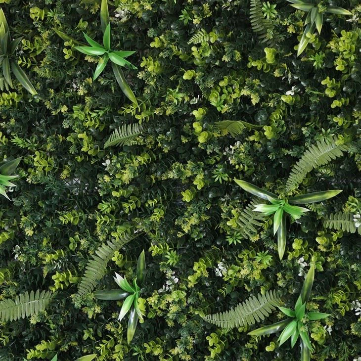 Diy Indoor Living Plant Wall
