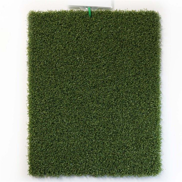 Indoor Practice Putting Green
