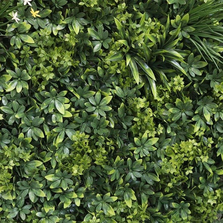 Indoor Vertical Garden