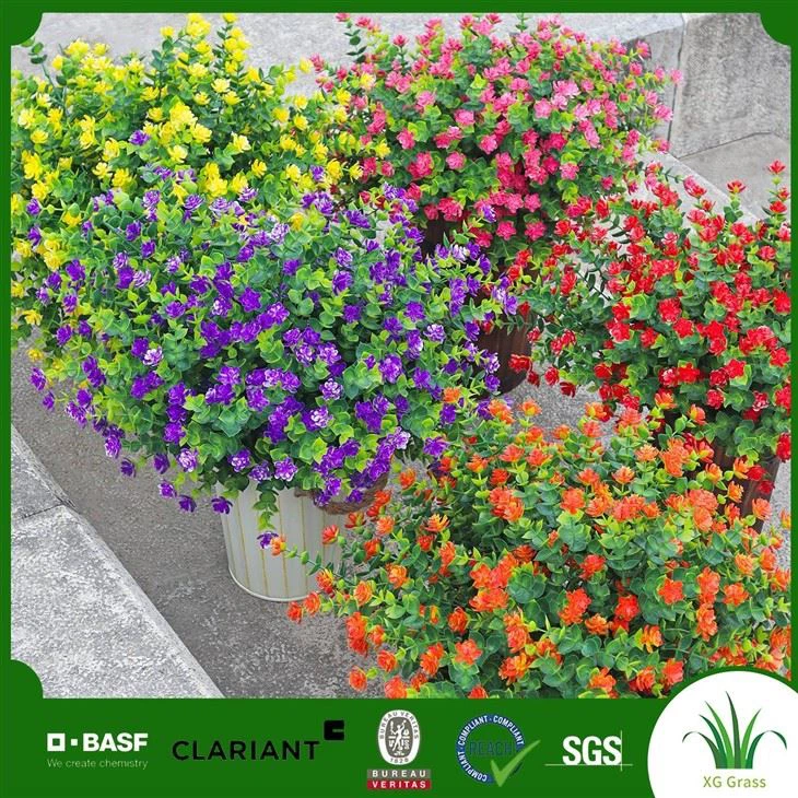 Plastic Flowers