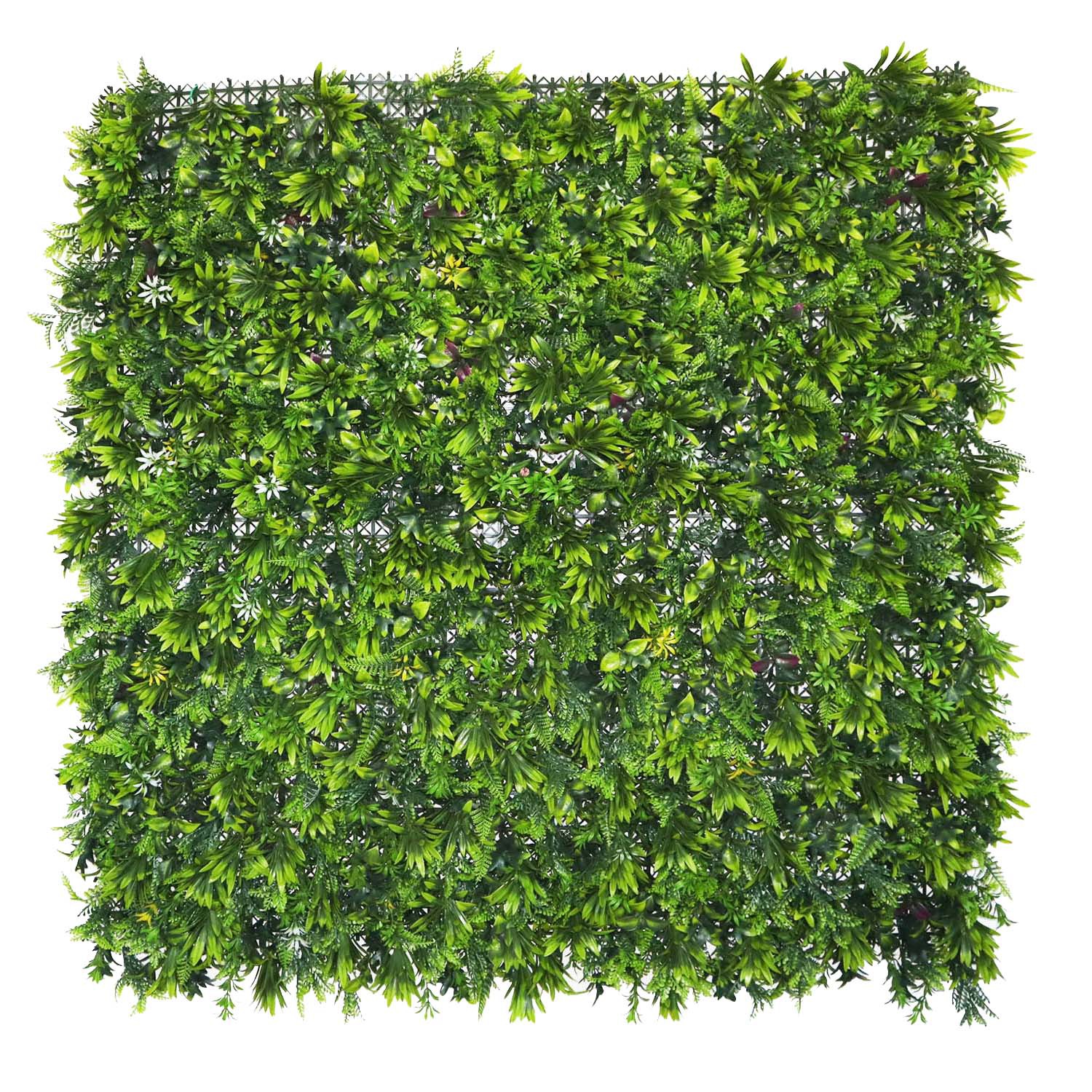 indoor hedge wall indoor hedge wall