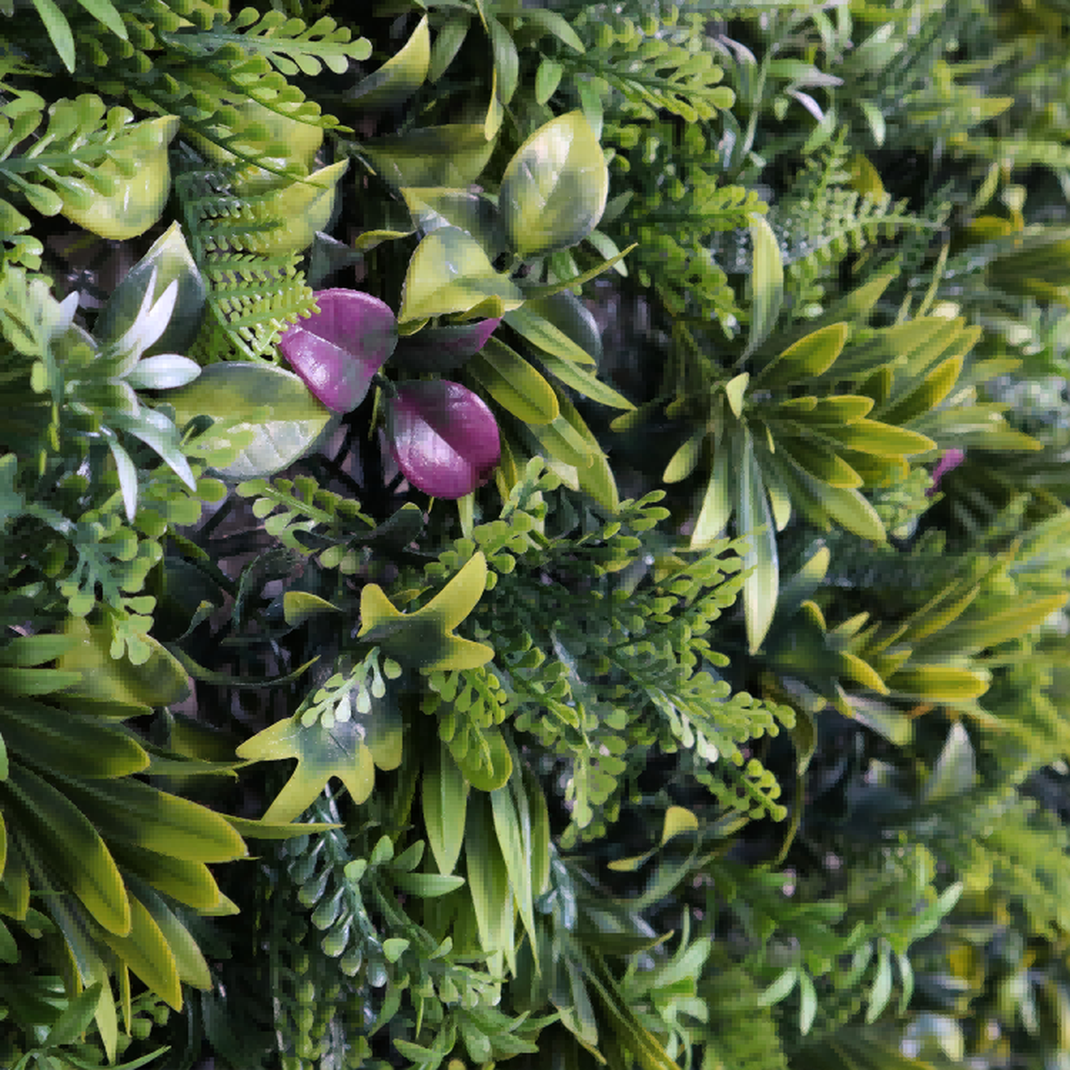 diy green wall indoor diy green wall indoor