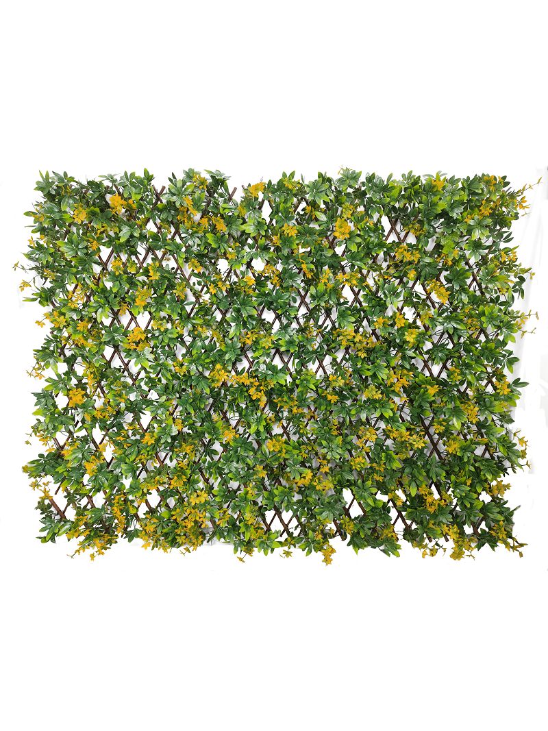 product-800-1067