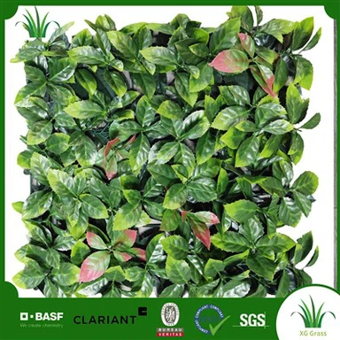 Leilighet Plantevegg