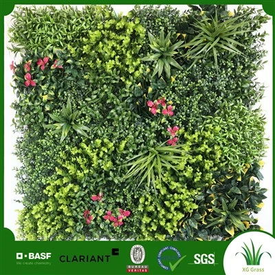 Plant innendørs vegg