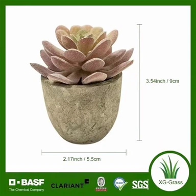 Unfading Mini Succulent Dekor