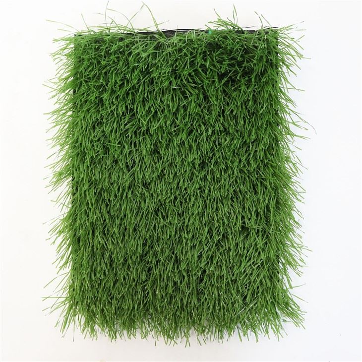 Transparent Football Grass