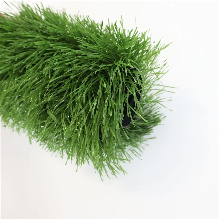 Transparent Football Grass